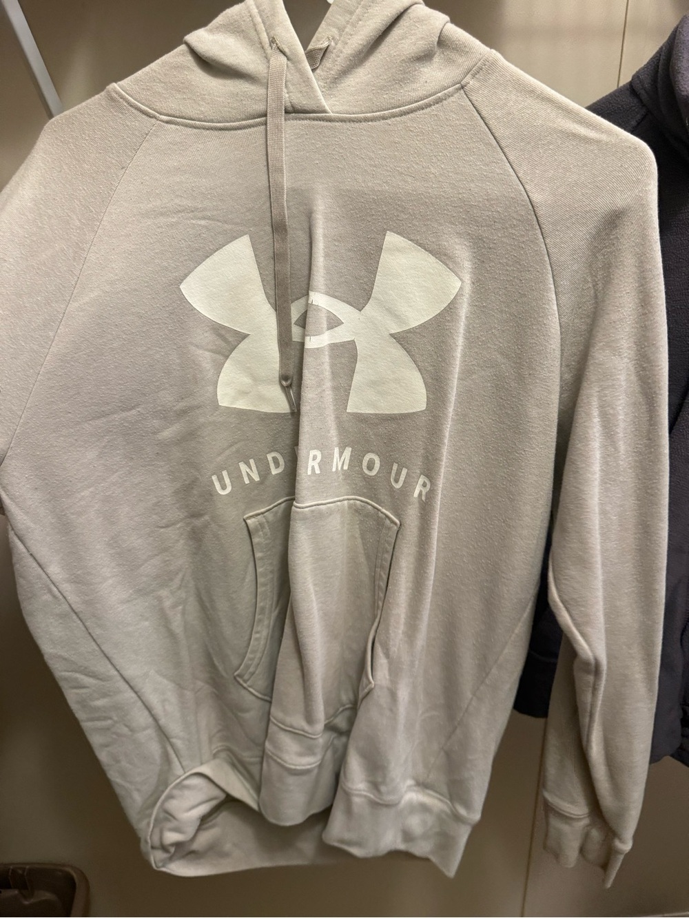 LG Men's Crewneck Hoodie with Large Logo in Light Gray